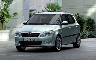 Skoda Fabia (2010) (#3389)