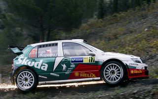 Skoda Fabia WRC (2003) (#33901)