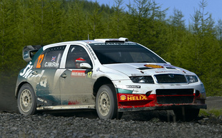 Skoda Fabia WRC (2003) (#33903)