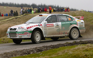 Skoda Octavia WRC (1999) (#33931)