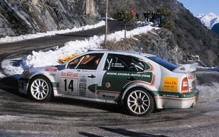 Skoda Octavia WRC (1999) (#33932)