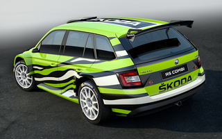 Skoda Fabia R5 Combi Concept (2015) (#34503)