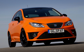 Seat Ibiza SC Sport Limited Edition (2010) (#34511)