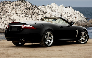 Jaguar XKR Convertible (2007) (#35035)