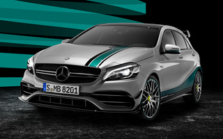 Mercedes-AMG A 45 Champion Edition (2016) (#36250)