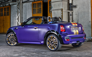 Mini Cooper S Roadster by Franca Sozzani (2012) (#37357)