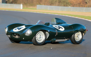 Jaguar D-Type [520] (1955) (#38485)