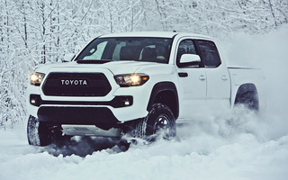 Toyota Tacoma TRD Pro Double Cab (2017) (#38811)