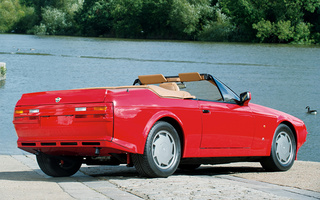 Aston Martin V8 Volante Zagato (1988) (#39820)