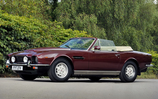 Aston Martin V8 Volante (1978) UK (#39989)