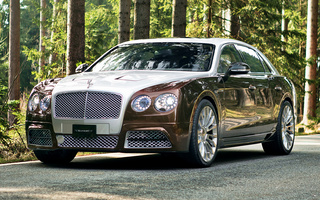 Bentley Flying Spur by Mansory (2014) (#40841)