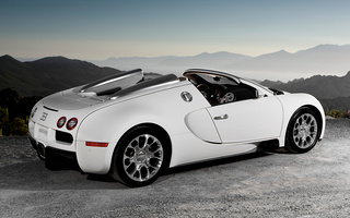 Bugatti Veyron Grand Sport (2009) (#41140)