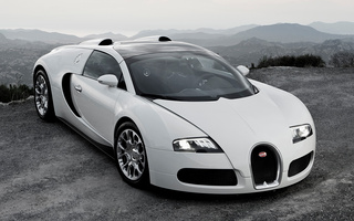 Bugatti Veyron Grand Sport (2009) (#41145)