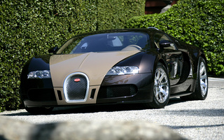 Bugatti Veyron Fbg par Hermes (2008) (#41182)