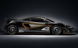 McLaren 570S GT4 (2016) (#41701)