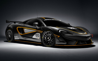 McLaren 570S GT4 (2016) (#41705)