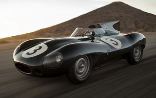 Jaguar D-Type Long Nose [604] (1955) (#42360)