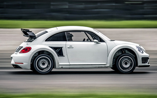 Volkswagen Beetle GRC (2014) (#43859)