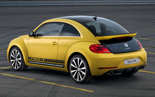 Volkswagen Beetle GSR (2013) (#43998)