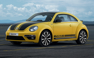 Volkswagen Beetle GSR (2013) (#43999)