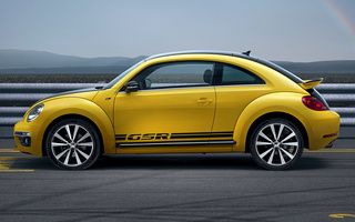 Volkswagen Beetle GSR (2013) (#44000)
