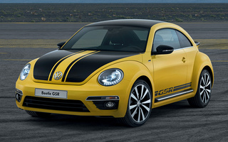Volkswagen Beetle GSR (2013) (#44001)