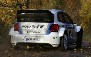 Volkswagen Polo R WRC Prototype (2011) (#45141)