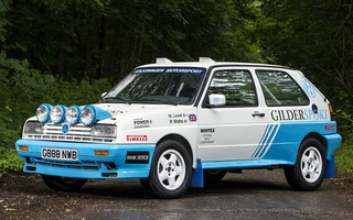 Volkswagen Rallye Golf Rally Car (1990) (#46342)