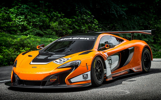 McLaren 650S GT3 (2014) (#46785)