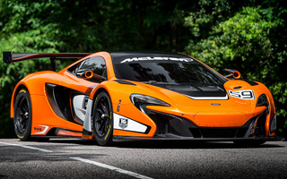 McLaren 650S GT3 (2014) (#46786)