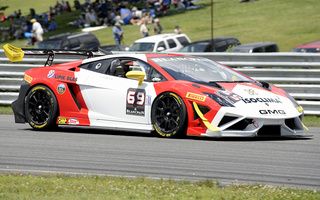 Lamborghini Gallardo LP 570-4 Super Trofeo (2013) (#47282)