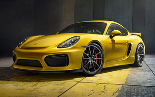 Porsche Cayman GT4 (2015) (#48074)