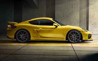 Porsche Cayman GT4 (2015) (#48075)