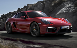 Porsche Cayman GTS (2014) (#48434)