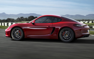 Porsche Cayman GTS (2014) (#48438)