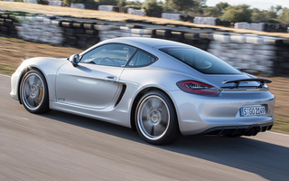 Porsche Cayman GTS (2014) (#48441)