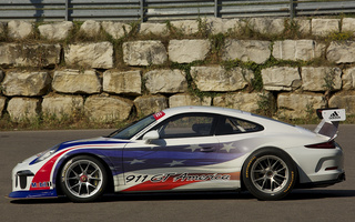 Porsche 911 GT America (2014) (#48614)