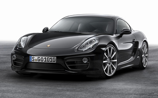 Porsche Cayman Black Edition (2015) (#48638)