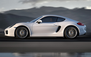 Porsche Cayman (2013) (#48873)