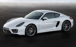 Porsche Cayman (2013) (#48874)