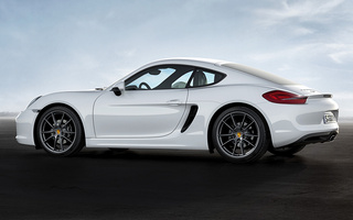 Porsche Cayman (2013) (#48875)