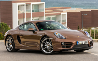 Porsche Cayman (2013) (#48876)