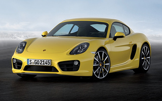 Porsche Cayman S (2013) (#48997)