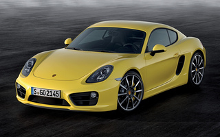 Porsche Cayman S (2013) (#48998)