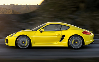 Porsche Cayman S (2013) (#49002)