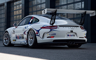 Porsche 911 GT3 Cup (2013) (#49069)