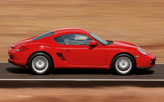 Porsche Cayman (2009) (#49273)