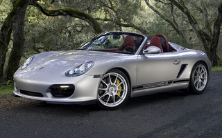 Porsche Boxster Spyder (2010) (#49463)