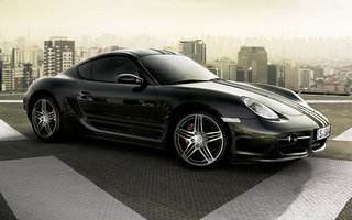 Porsche Cayman S Porsche Design Edition 1 (2007) (#49504)