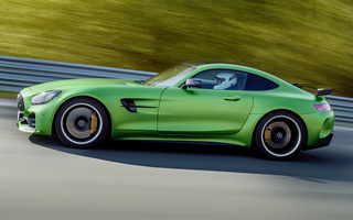 Mercedes-AMG GT R (2016) (#49950)